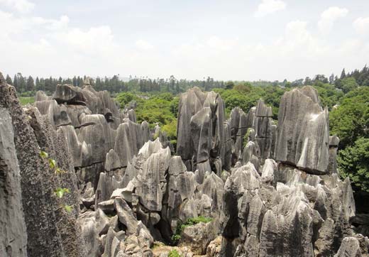 Amazing Karst Geography of Stone Forest