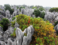 Kunming Stone Forest 