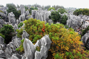 Kunming Stone Forest 