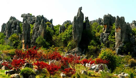 Seasonal View of Stone Forest