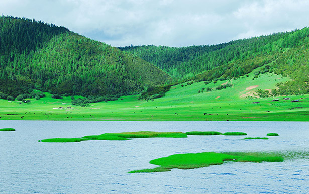 8 Days Shangri-La & Daocheng Yading Tour 