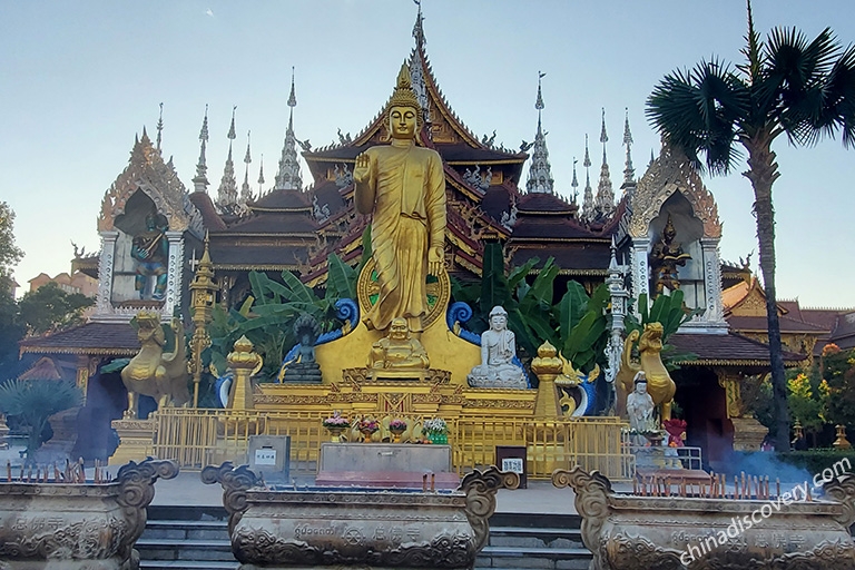 warm tree valley, Xishuangbanna