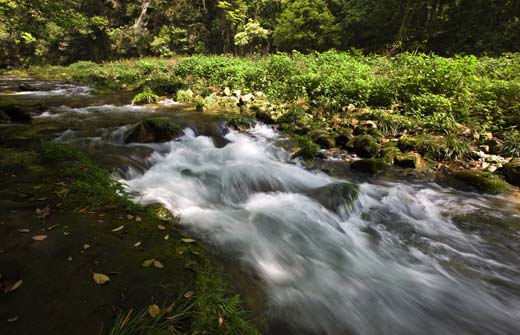 Crystal Water of Golden Whip Stream