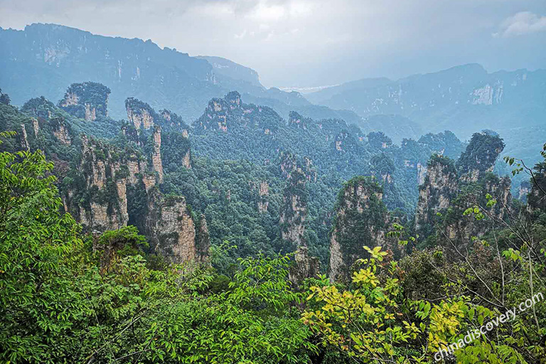 Tianzi Mountain