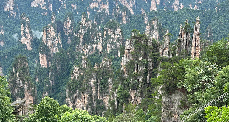 Tianzi Mountain