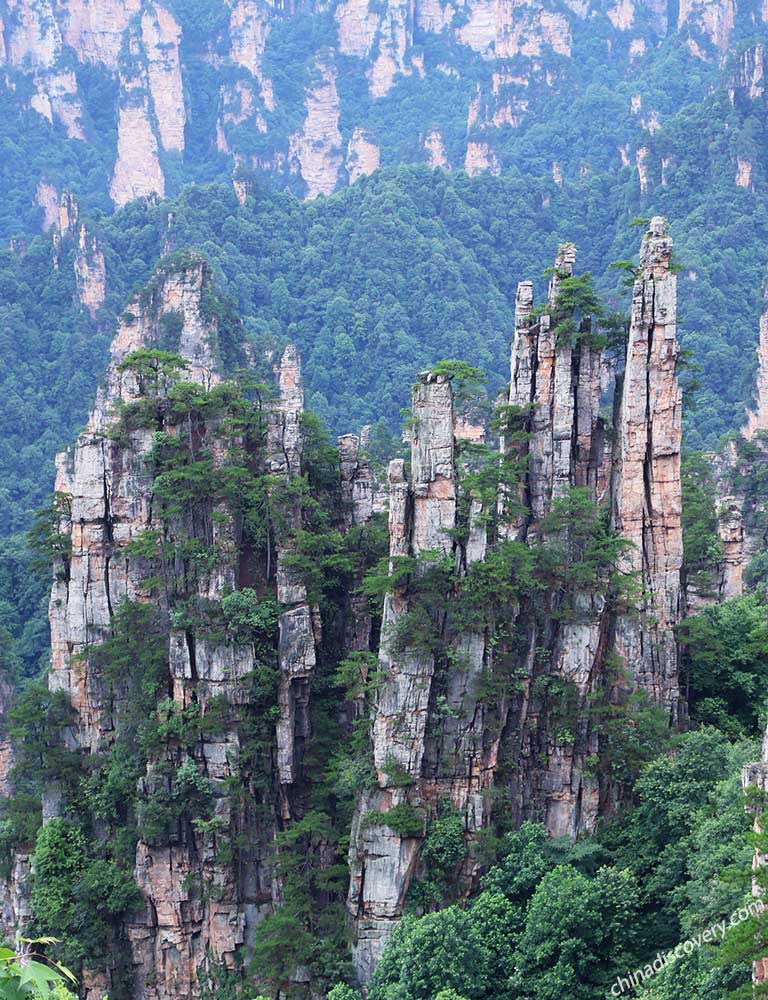 Tianzi Mountain