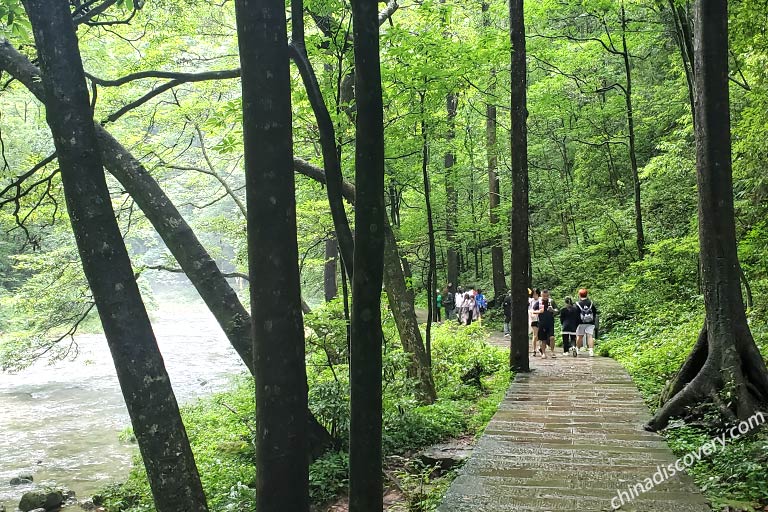 Zhangjiajie Hiking Tour
