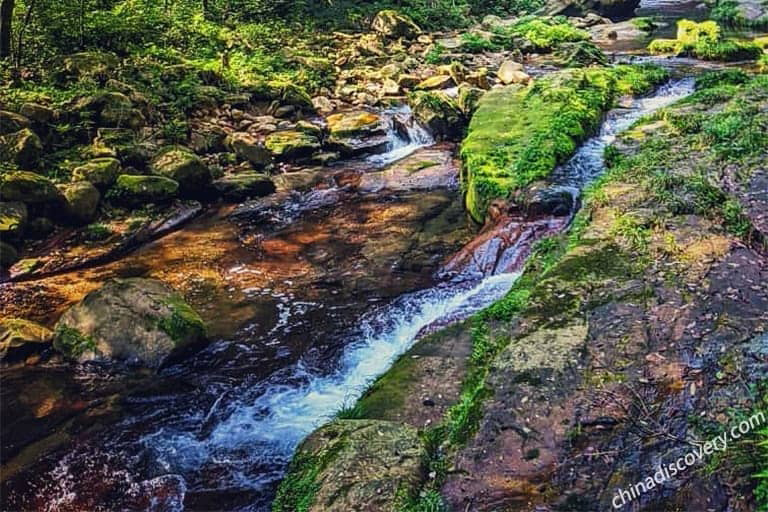 Golden Whip Stream in Zhangjiajie National Forest Park