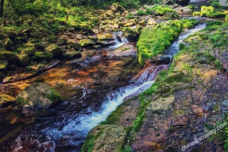 Golden Whip Stream in Zhangjiajie National Forest Park Golden Whip Stream in Zhangjiajie National Forest Park