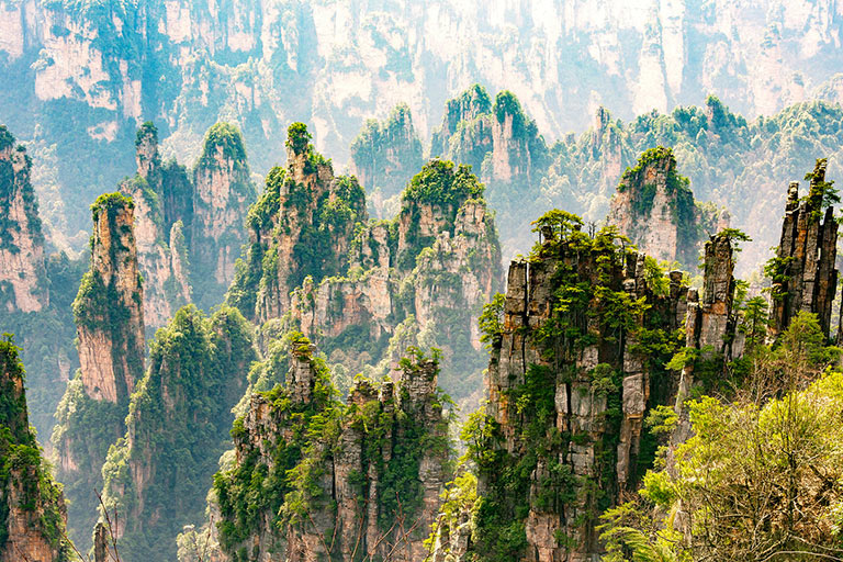 Tianzi Mountain Pillar Forest