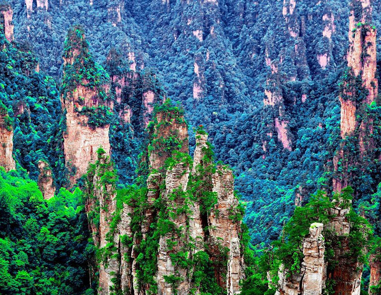 Emerald Forest at Tianzi Mountain