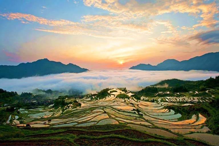 Yunhe Terrace Field Zhejiang Destinations - Lishui City