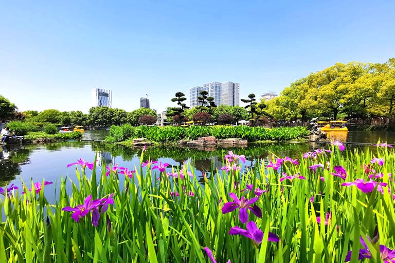 Ningbo Spring Ningbo Moon Lake Park in Spring