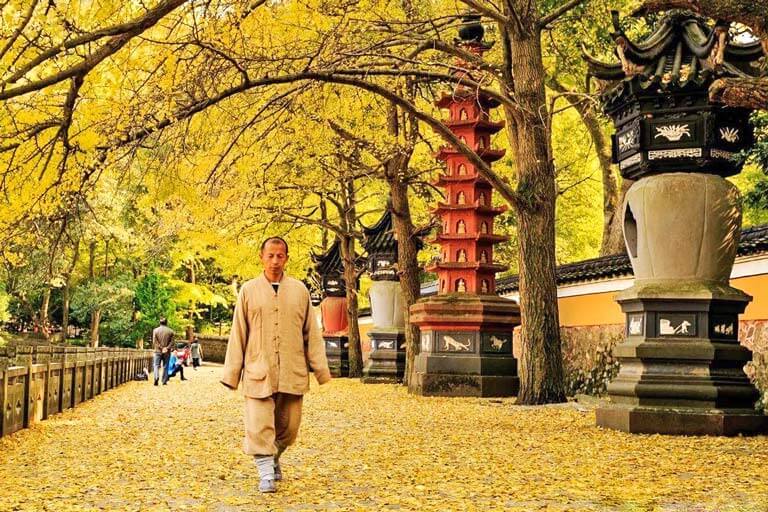 Tiantong Temple in Autumn