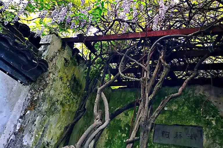 Shaoxing Attractions & Things to Do