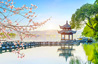 Zhejiang Tours