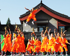 International Shaolin Wushu Festival