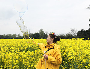 China Travel Consultant - Felix