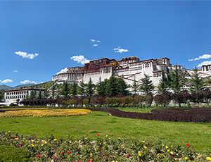 China Travel Consultant Tammy