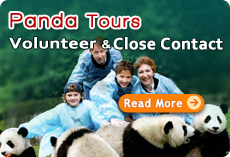 Panda Tours