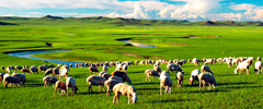 Inner_Mongolia-Tour