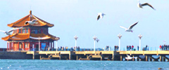 Qingdao Tours