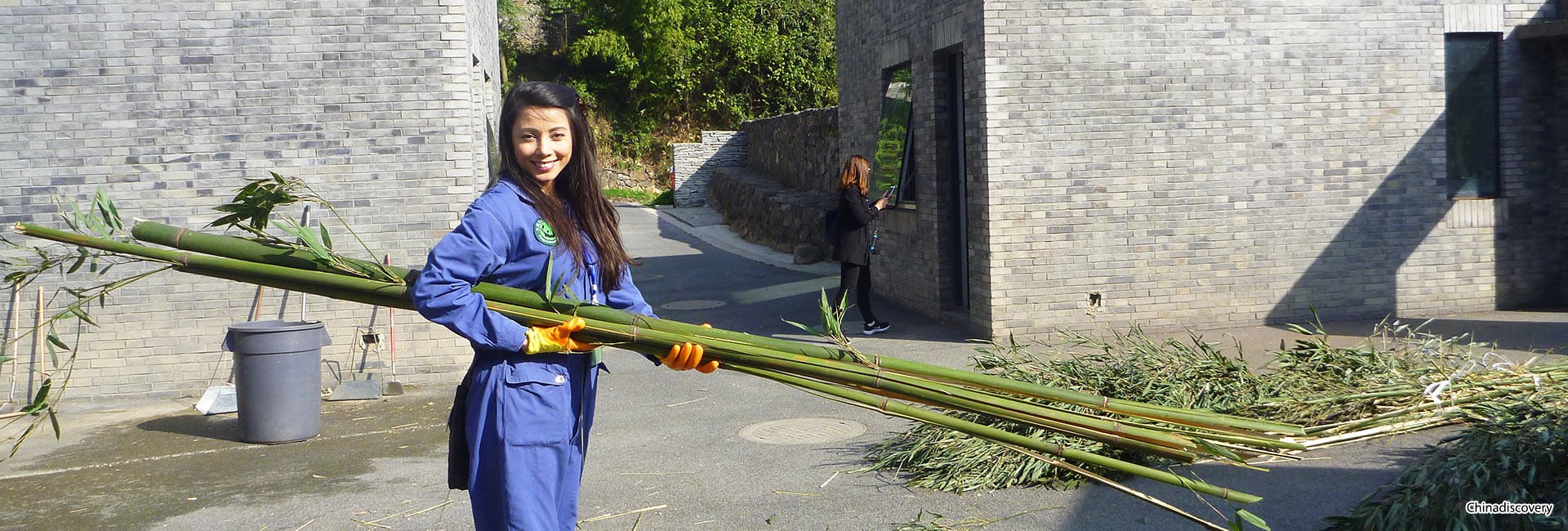 Dujiangyan Panda Volunteer Tour