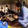 Dujiangyan Panda Volunteer