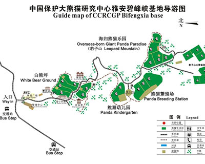 Bifengxia Panda Base Map