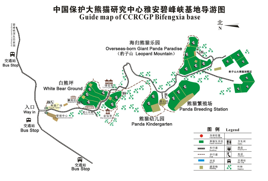 Giant Panda Maps 2019, Map of Where Giant Pandas Live