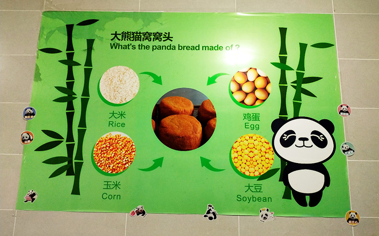 Make Panda Cake at Dujiangyan Panda Base