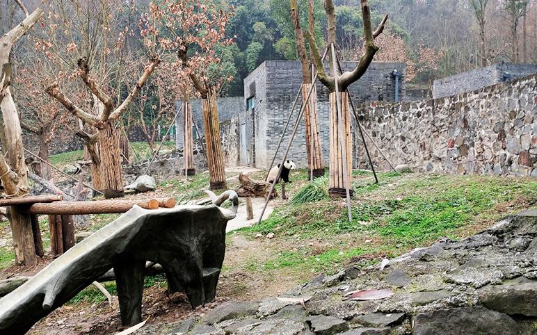 Livia and Ashley at Dujiangyan Panda Base