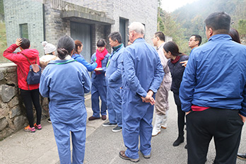 Dujiangyan Panda Volunteer Experience