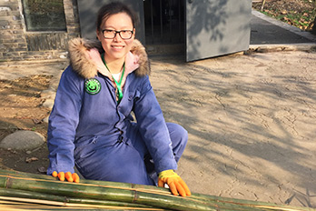 Dujiangyan Panda Volunteer Experience