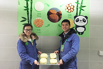 Dujiangyan Panda Volunteer Experience