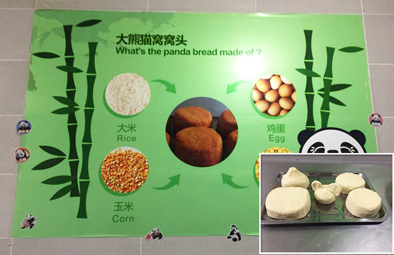 Make Panda Cake at Dujiangyan Panda Volunteer Program