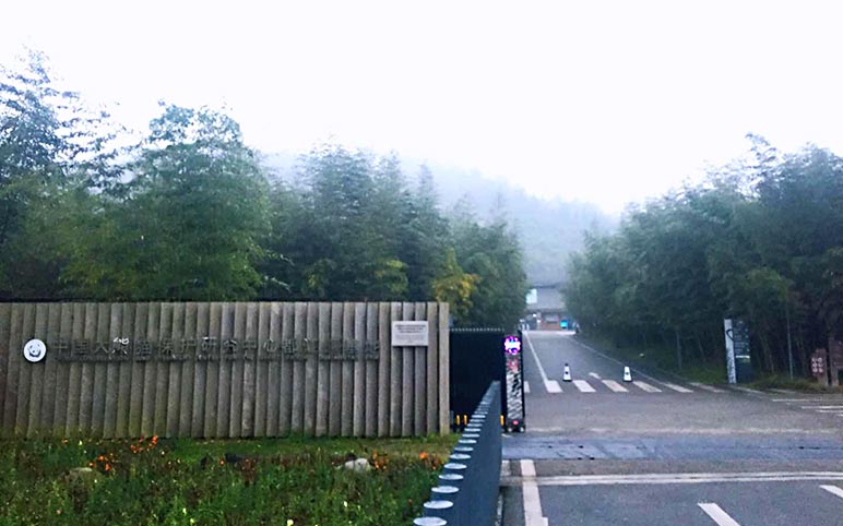 Dujiangyan Panda Base Entrance