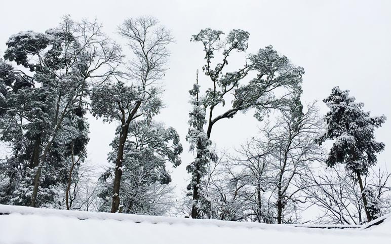 Mount Qingcheng in Winter