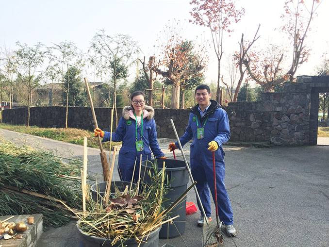 Dujiangyan Panda Base Panda Loving Care Work Dujiangyan Panda Base Volunteer Work