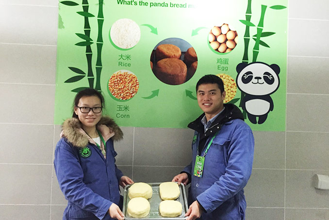 Make Panda Cake at Dujiangyan Panda Base