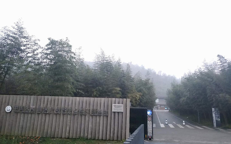 Dujiangyan Panda Base Entrance