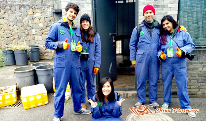 Panda Volunteer Experience at Dujiangyan Panda Base