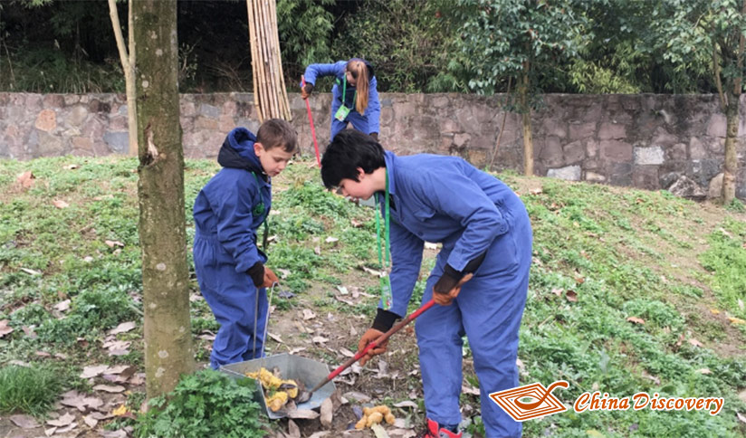 Panda Volunteer Experience at Dujiangyan Panda Base