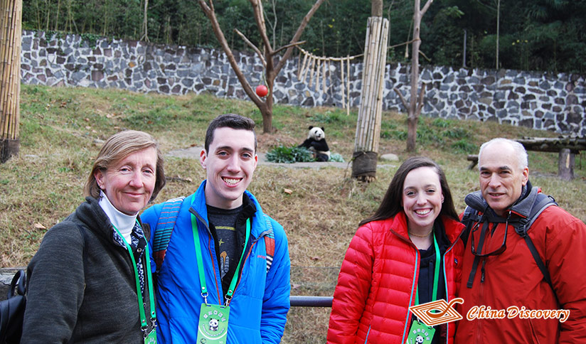 Panda Volunteer Experience at Dujiangyan Panda Base