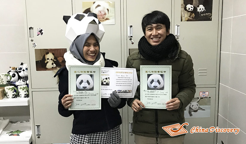 Panda Volunteer Experience at Dujiangyan Panda Base