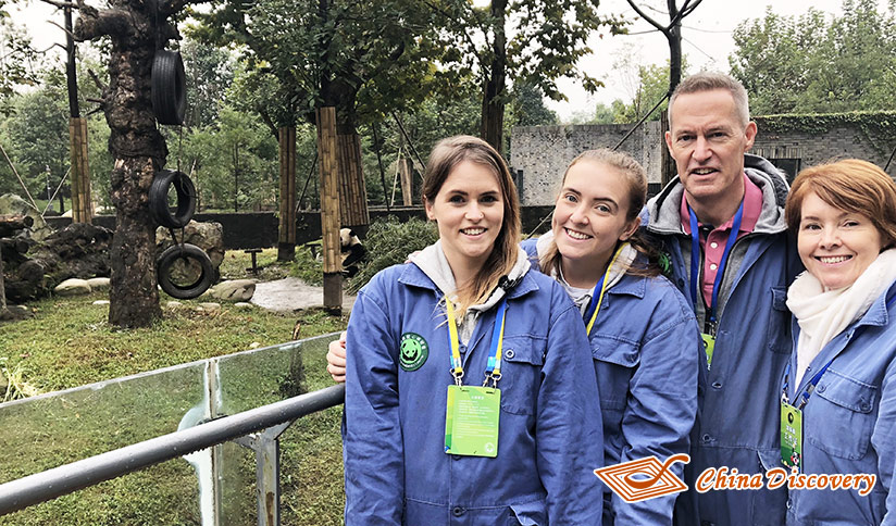 Panda Volunteer Experience at Dujiangyan Panda Base