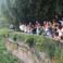 Photograph Giant Pandas at Chengdu Panda Base