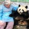 Giant Panda at Chengdu Panda Base