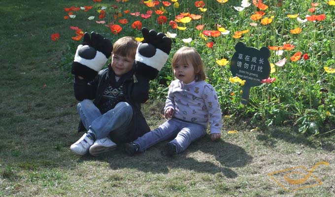 See Pandas with China Discovery
