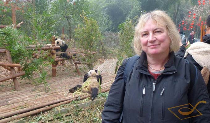 See Pandas with China Discovery